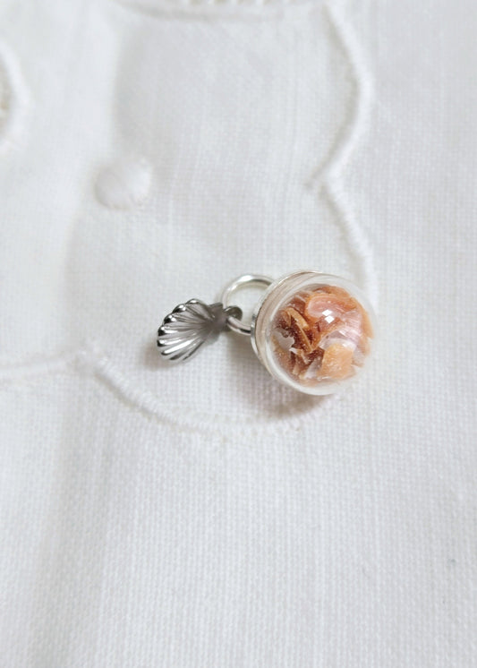 "Bigorneaux" St Jacques