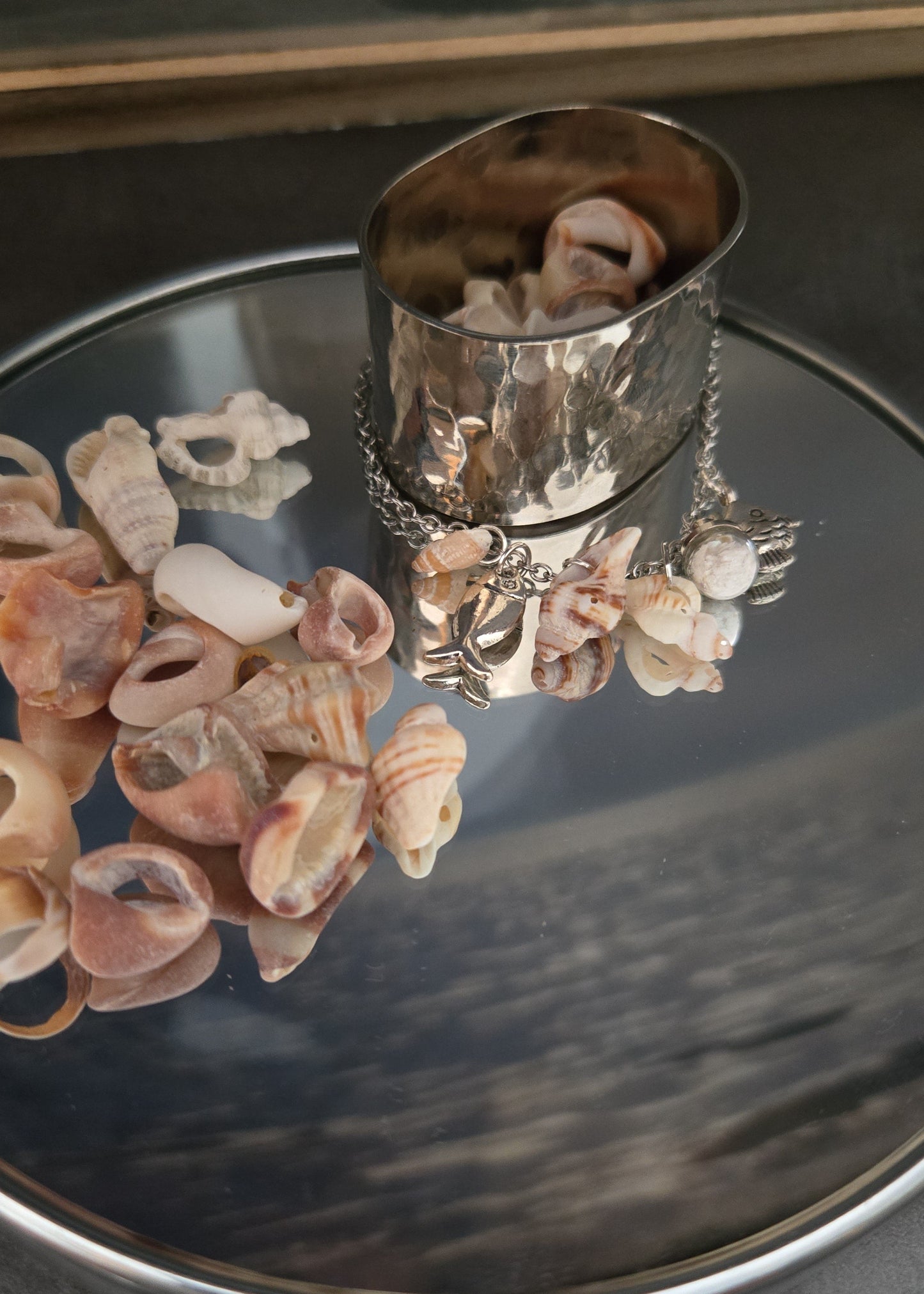 Collection "Coquillages"