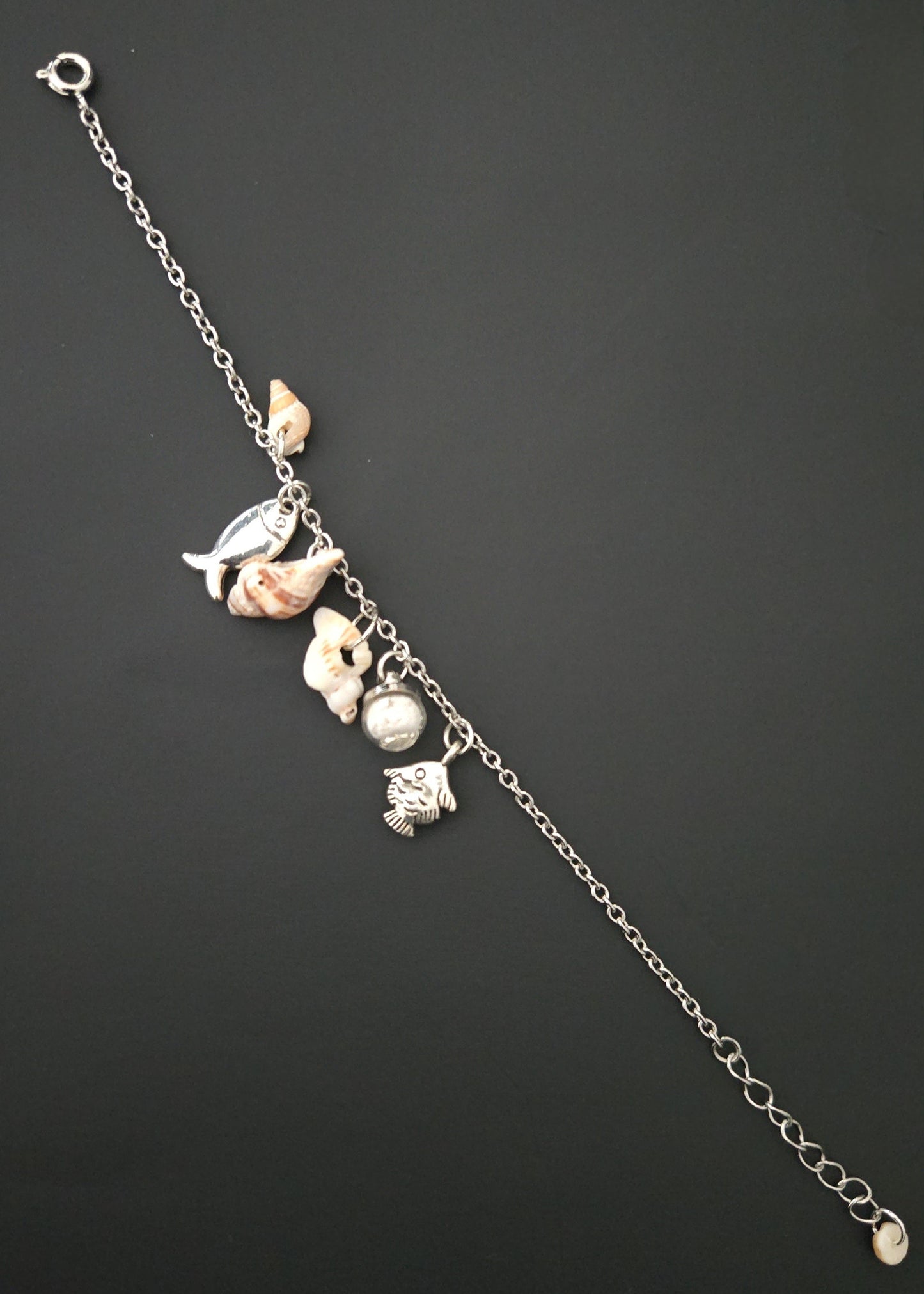 Collection "Coquillages"