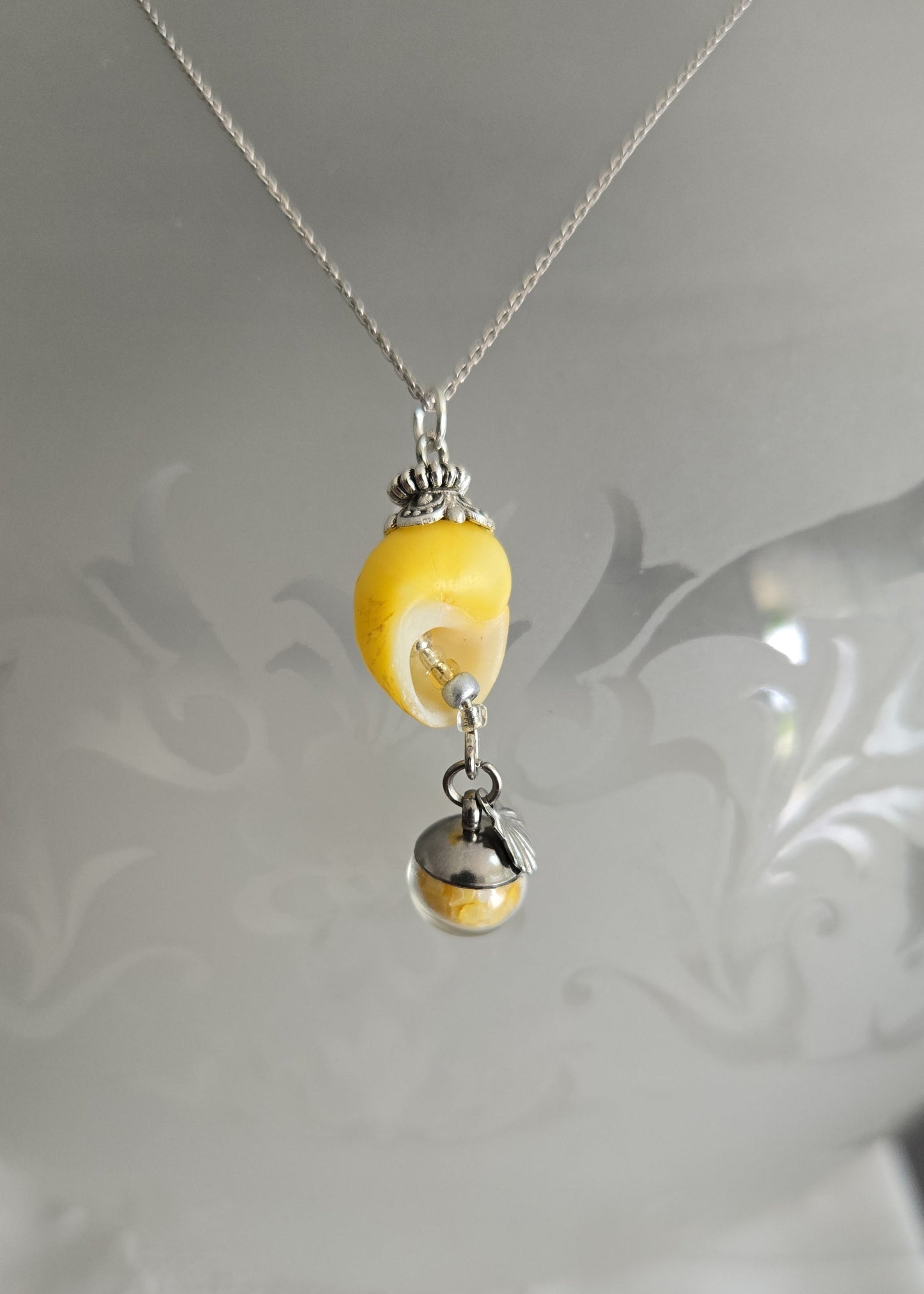 Collection "Littorine"