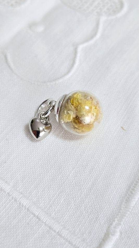 "Cœur" d'Immortelle