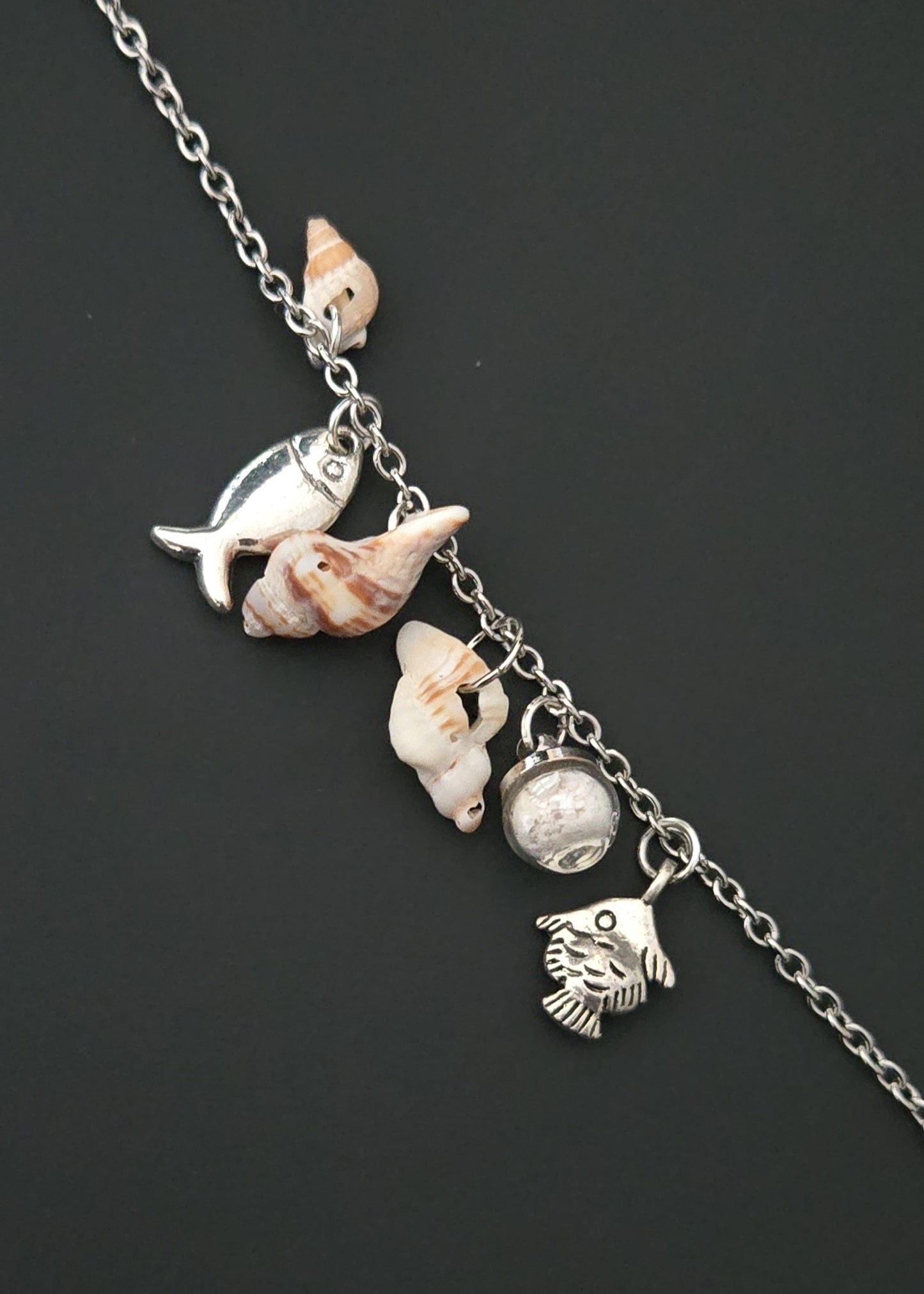 Collection "Coquillages"
