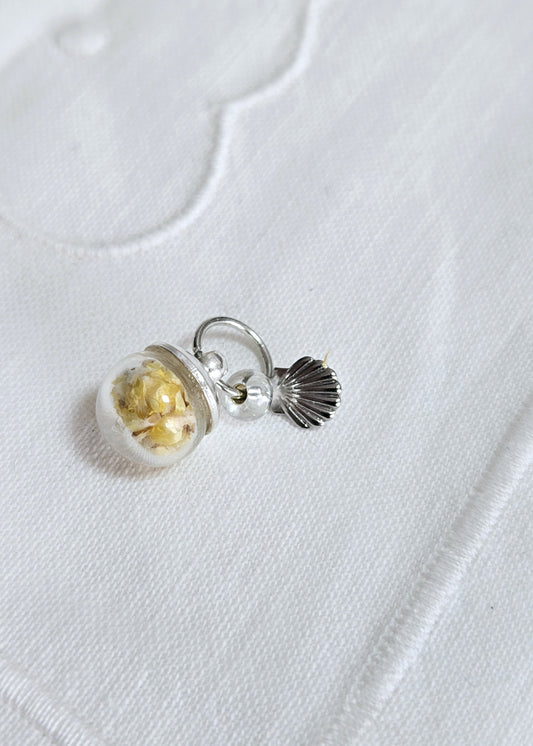 "Immortelle" St Jacques