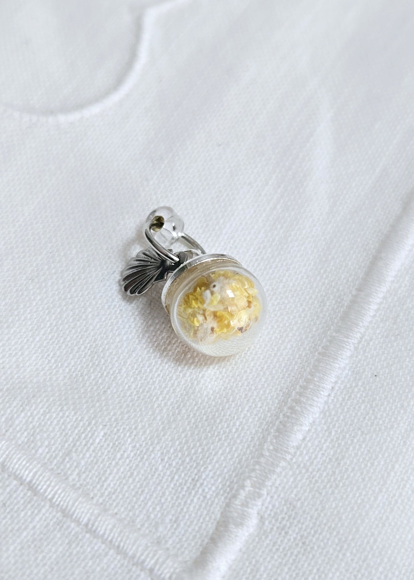 "Immortelle" St Jacques