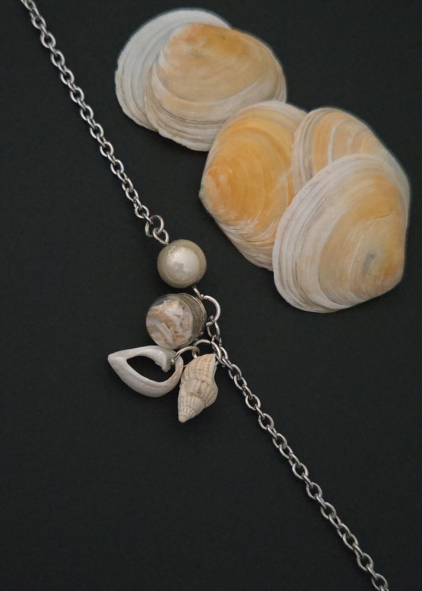 Collection "Coquillages"