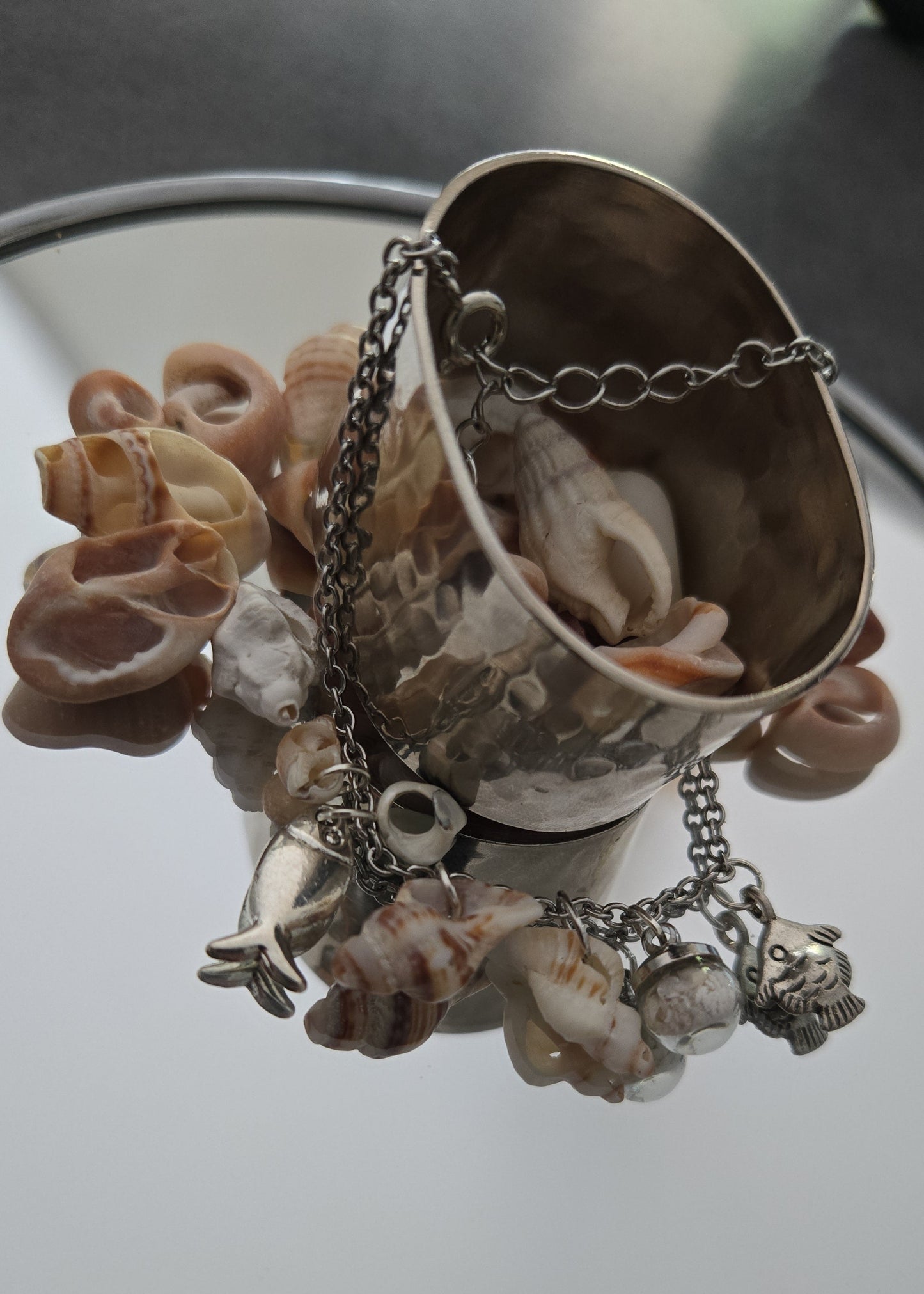 Collection "Coquillages"