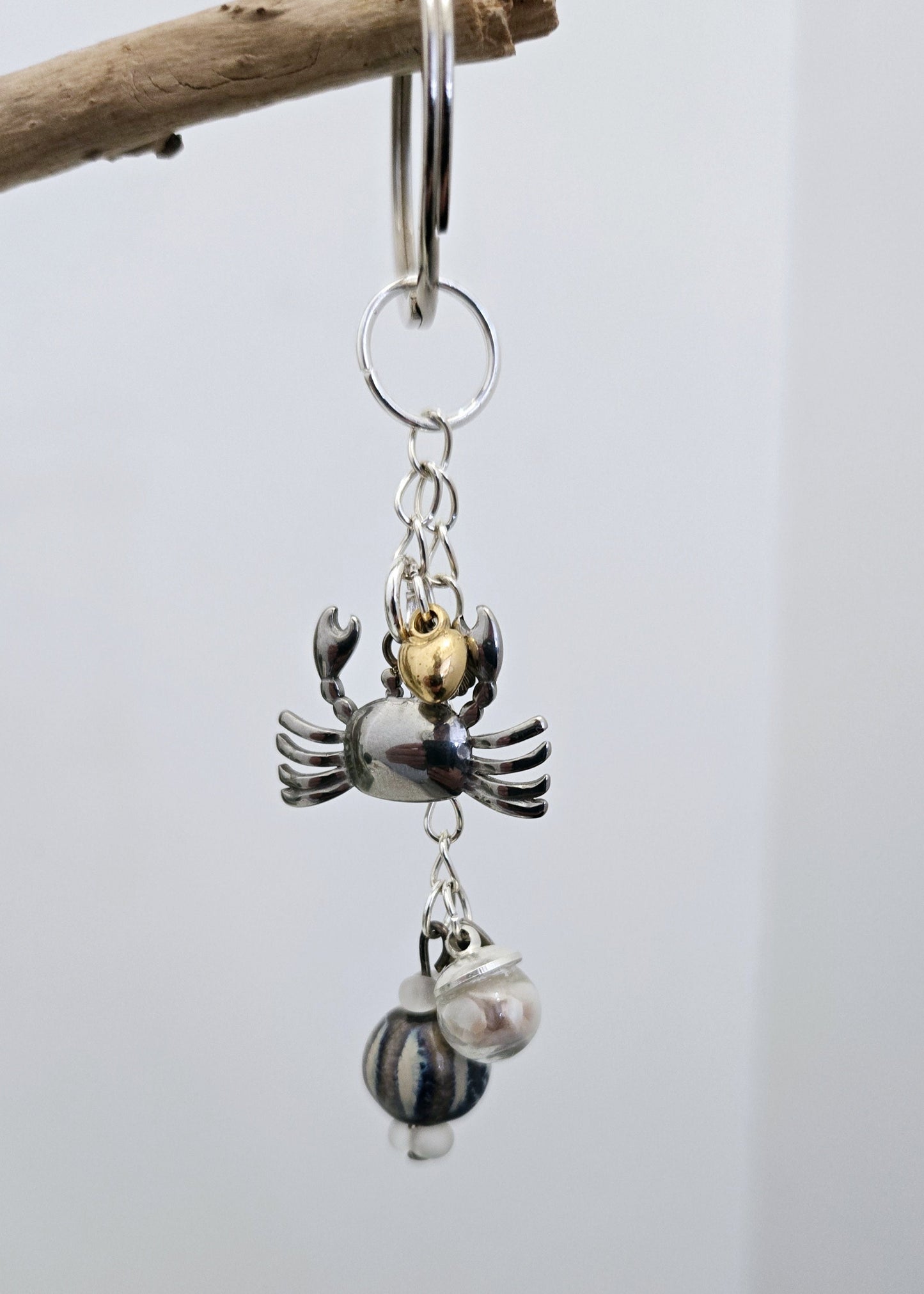 Crabe & Océan