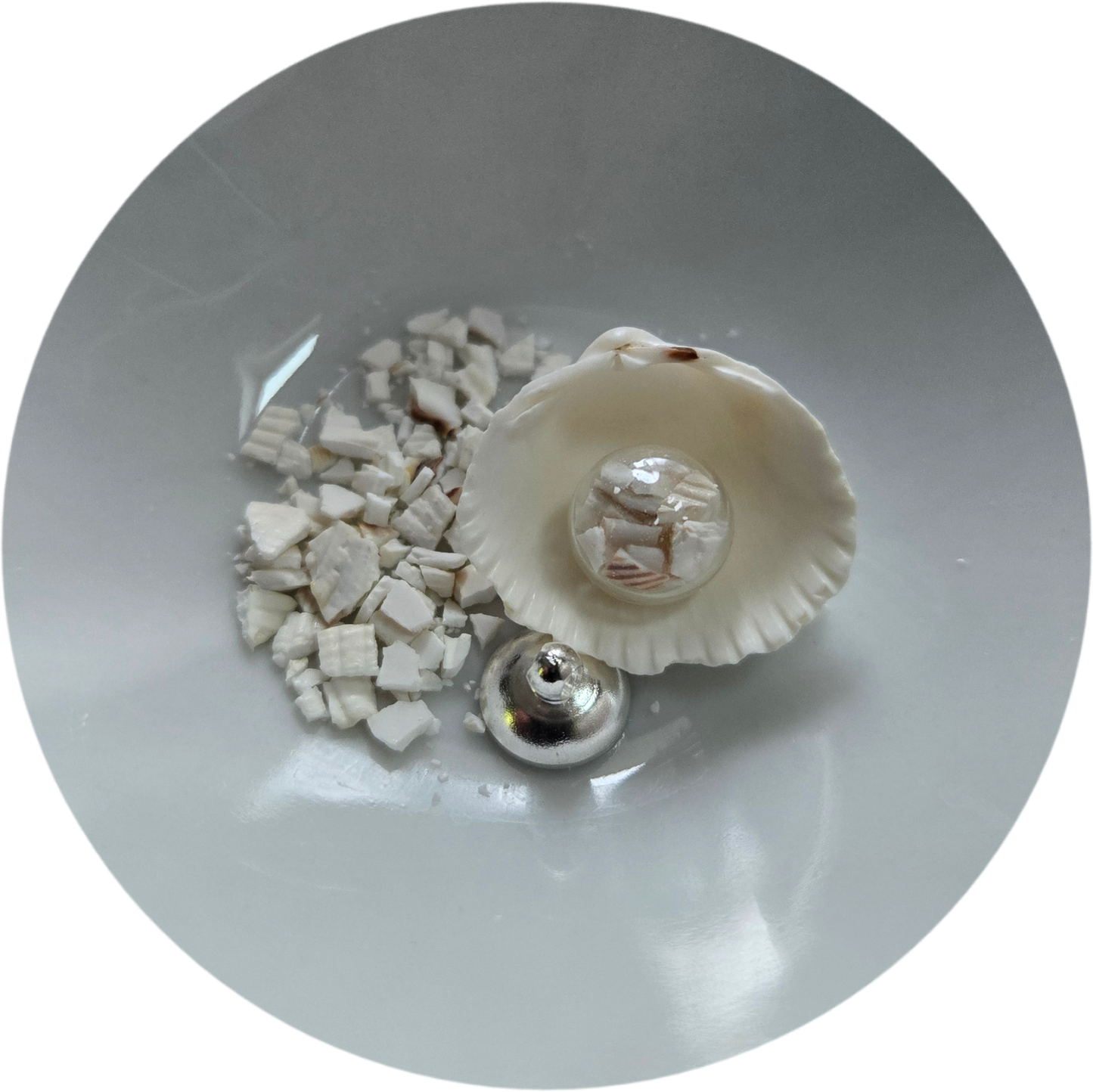 Coquillage et "Sable"
