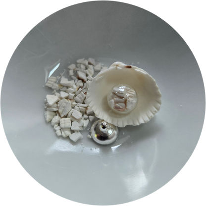 Coquillage et "Sable"