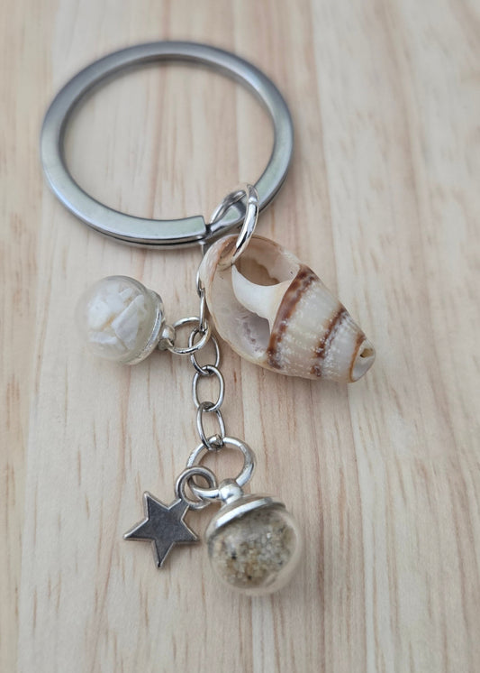 Etoile & Coquillage