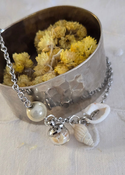 Collection "Coquillages"