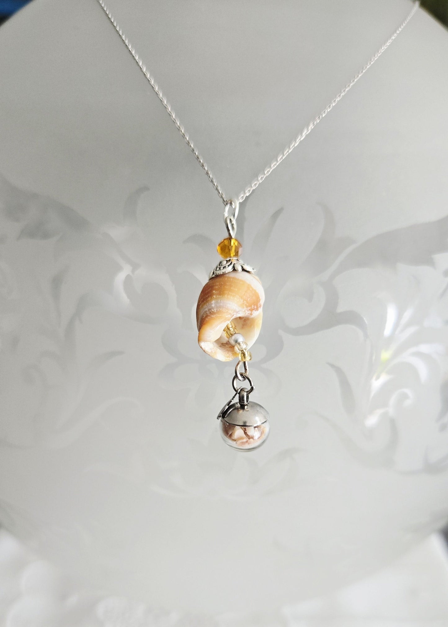 Collection "Littorine"