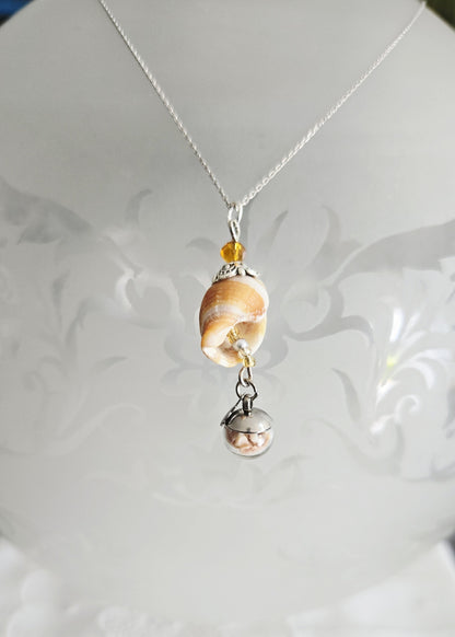 Collection "Littorine"