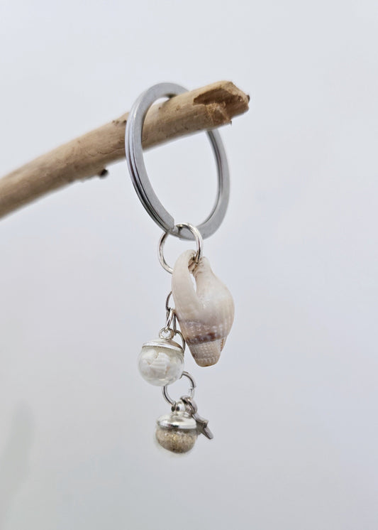 Etoile & Coquillage
