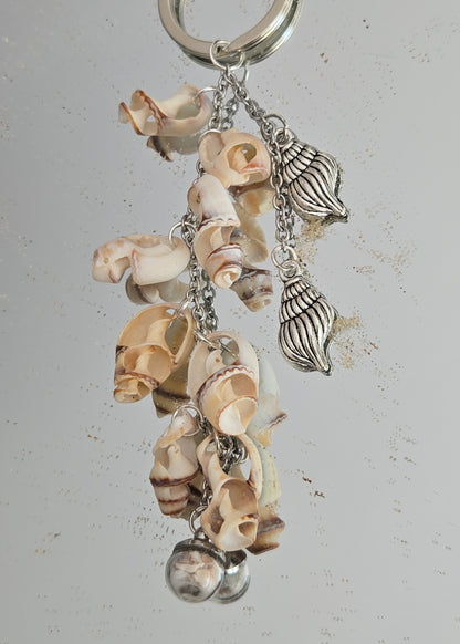 Porte souhait coquillages