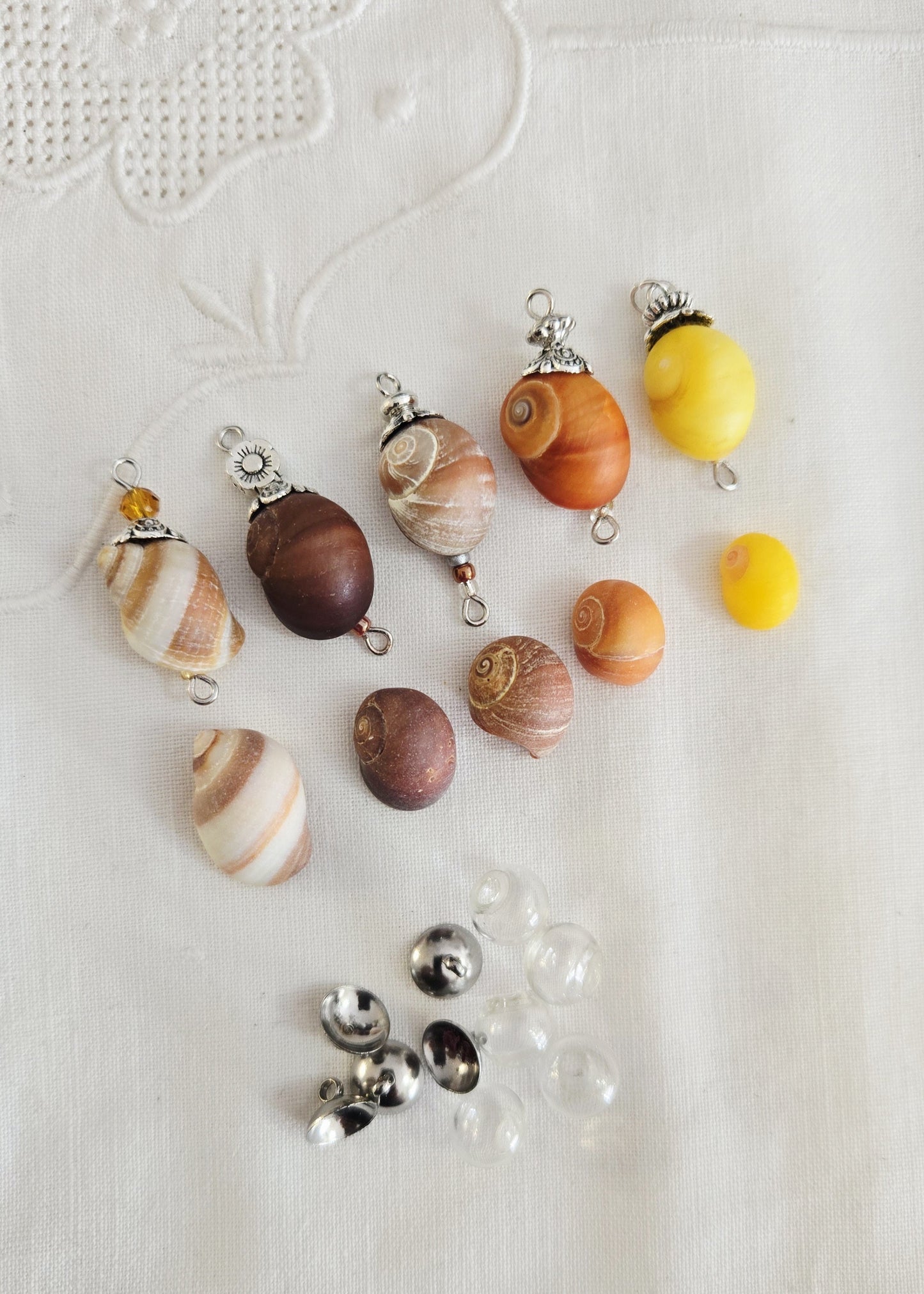 Collection "Littorine"