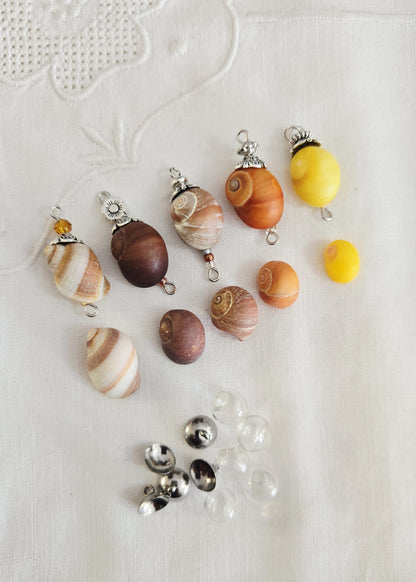Collection "Littorine"