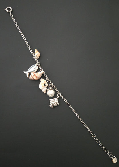 Collection "Coquillages"