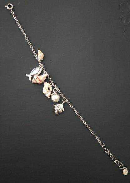 Collection "Coquillages"