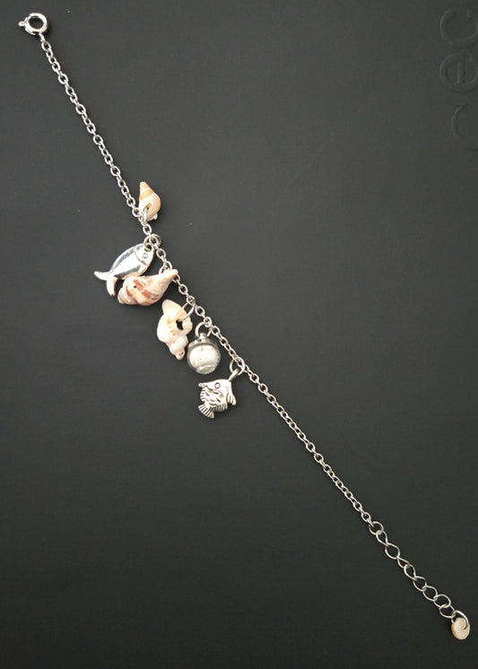Collection "Coquillages"