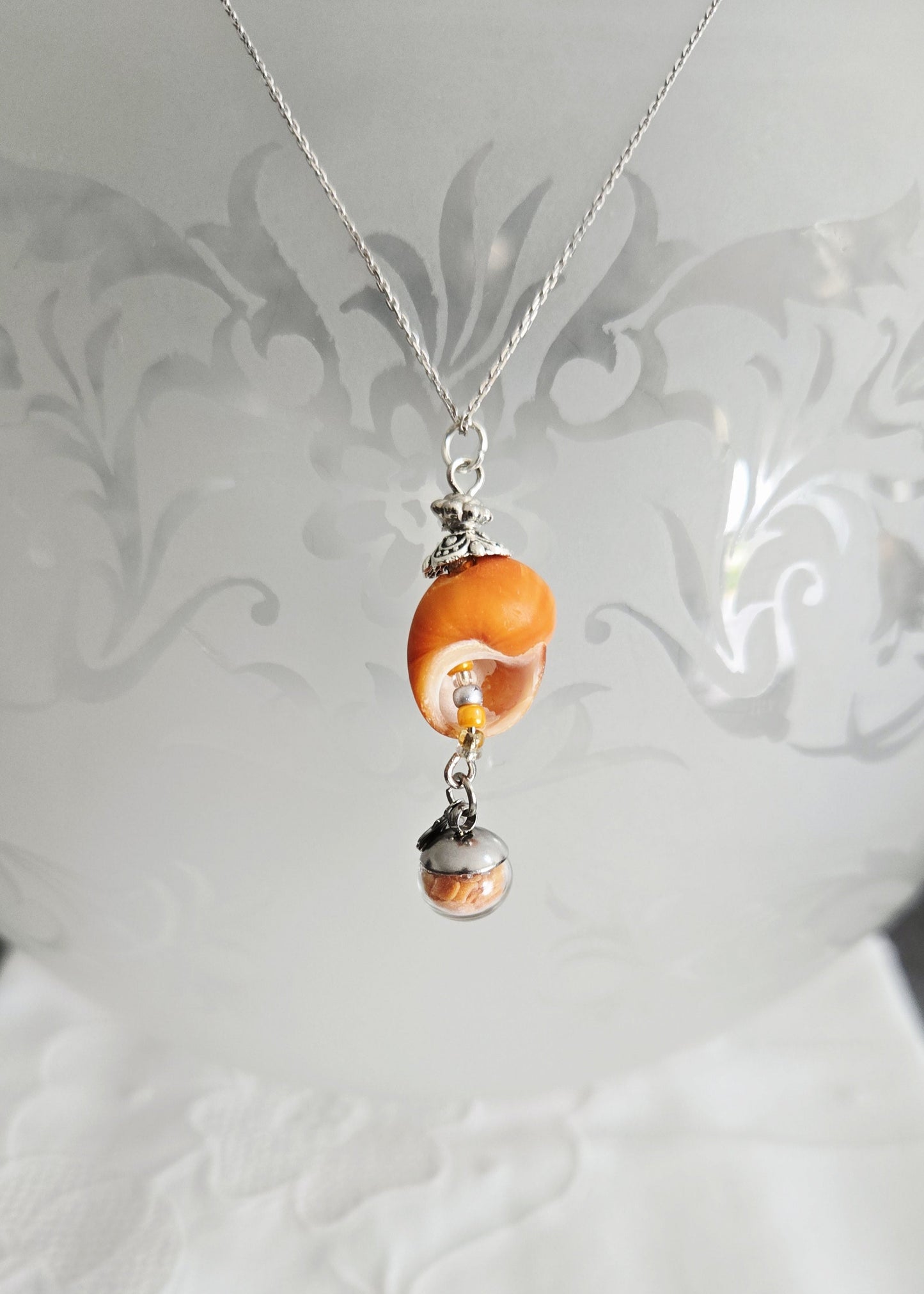 Collection "Littorine"