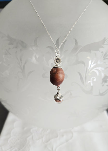 Collection "Littorine"