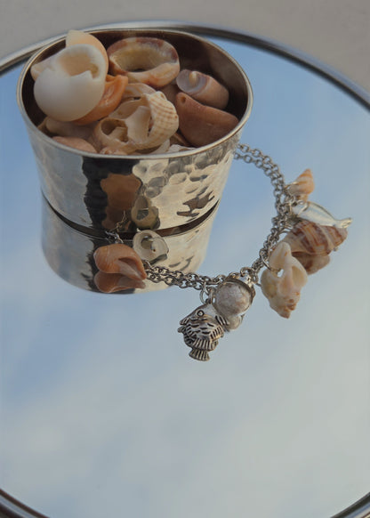 Collection "Coquillages"