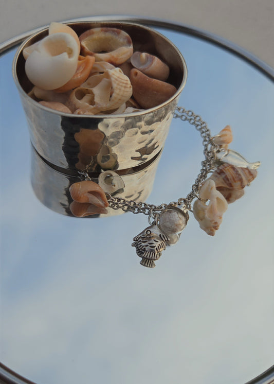 Collection "Coquillages"