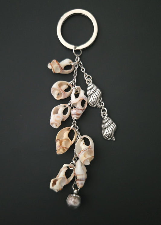 Porte souhait coquillages
