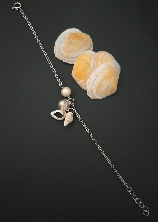Collection "Coquillages"